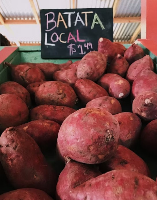 How Far Did Sweet Potatoes Travel To Georgia