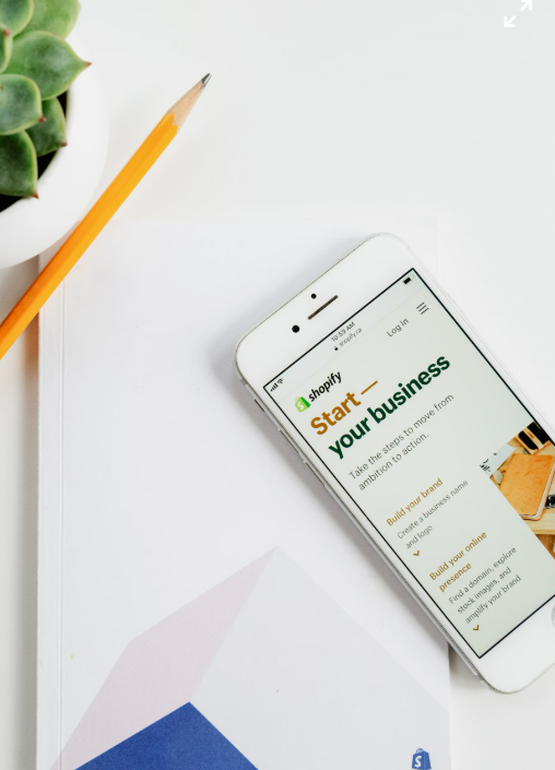 Theme WordPress Ecommerce