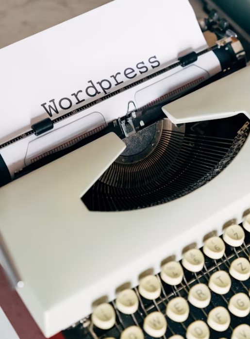 WordPress ECommerce Themes