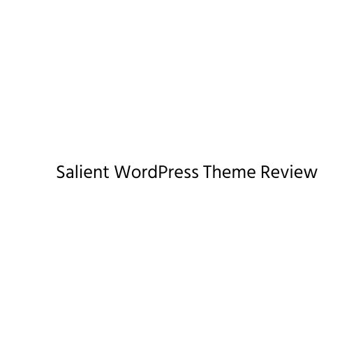 Salient WordPress Theme Review