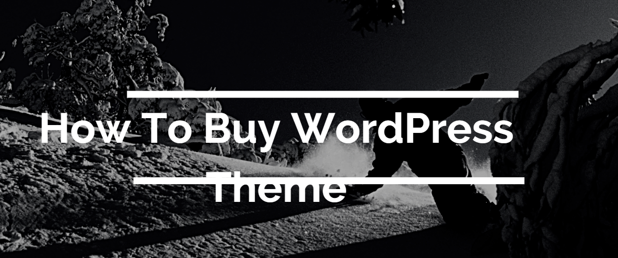 How To Buy WordPress Theme