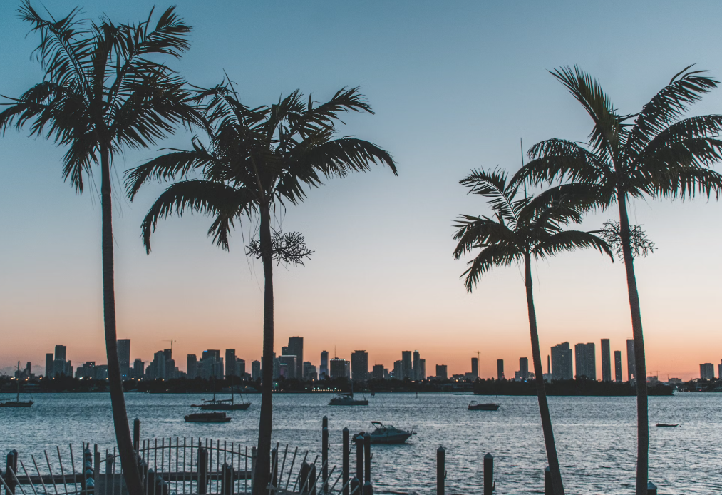 WordPress Theme florida