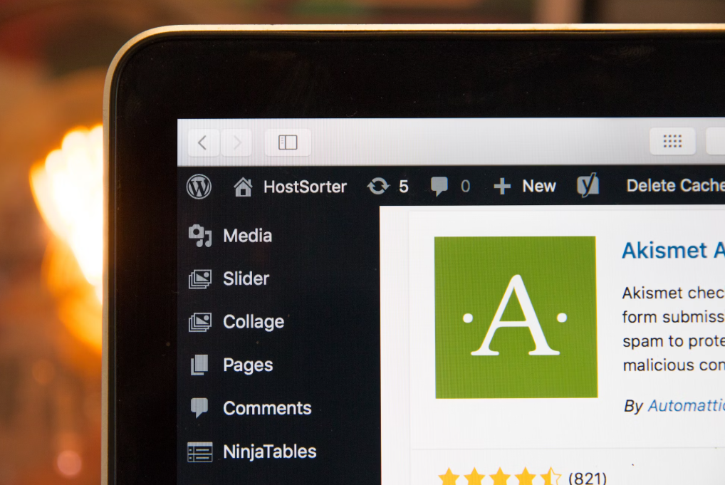 Free Minimalist WordPress Blog Themes