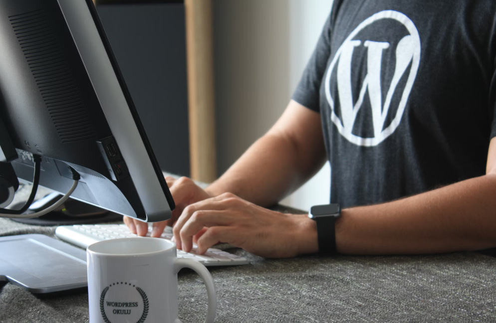 The Best WordPress Themes For Authors