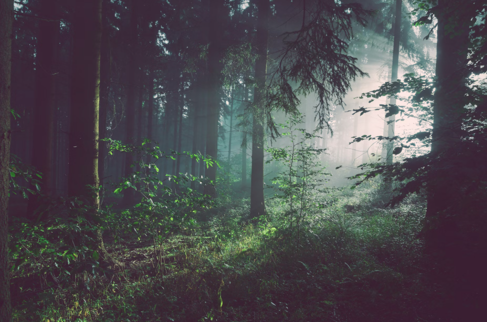 Betheme themeforest