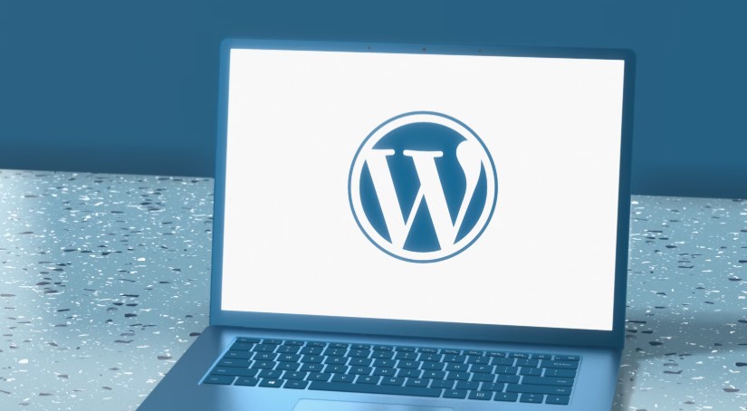 WordPress Theme Uninstall