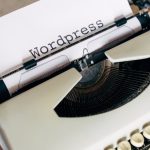 Best WordPress Themes for eCommerce
